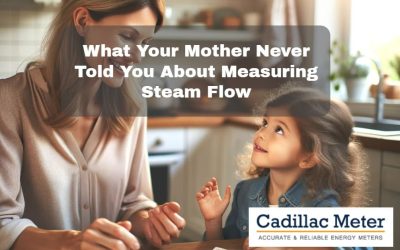 What Your Mother Never Told You About Measuring Steam Flow